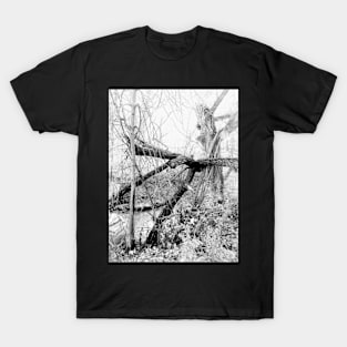 It Walks In The Night T-Shirt